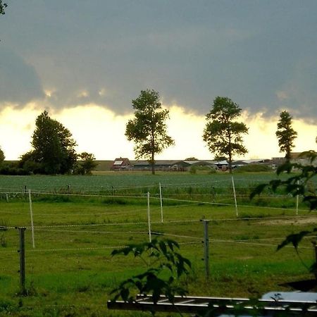 Deich Im Landhaus Michaela Friedrichskoog Bagian luar foto