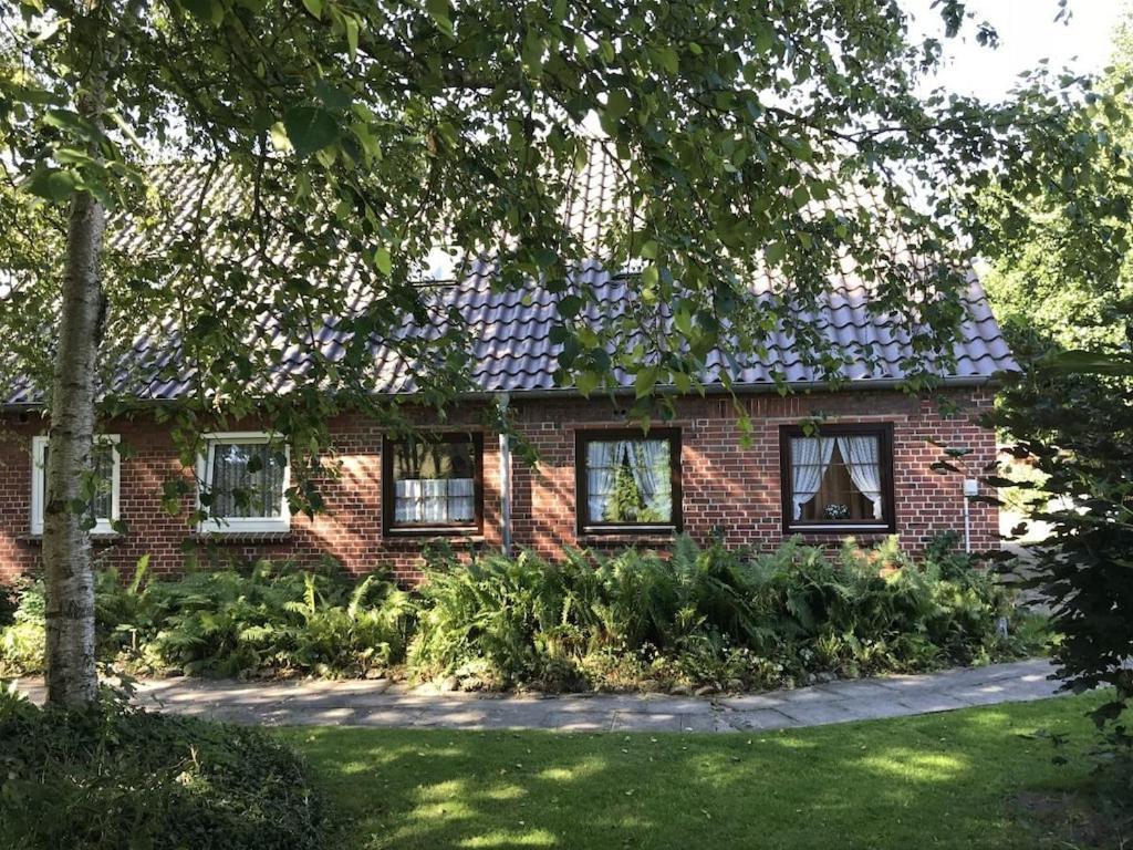 Deich Im Landhaus Michaela Friedrichskoog Bagian luar foto